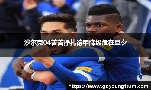 沙尔克04苦苦挣扎德甲降级危在旦夕