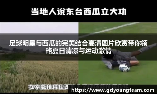 zoty中欧
