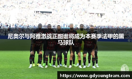 尼奥尔与阿雅激战正酣谁将成为本赛季法甲的黑马球队