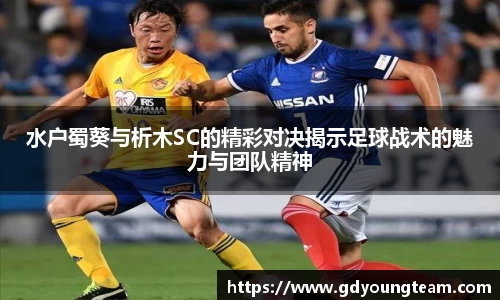 zoty中欧官方网站