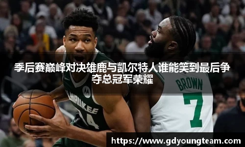 zoty中欧官方网站