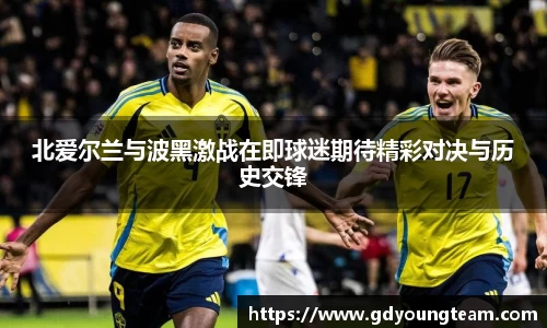 北爱尔兰与波黑激战在即球迷期待精彩对决与历史交锋
