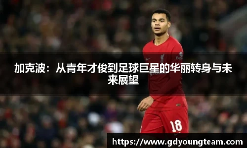加克波：从青年才俊到足球巨星的华丽转身与未来展望