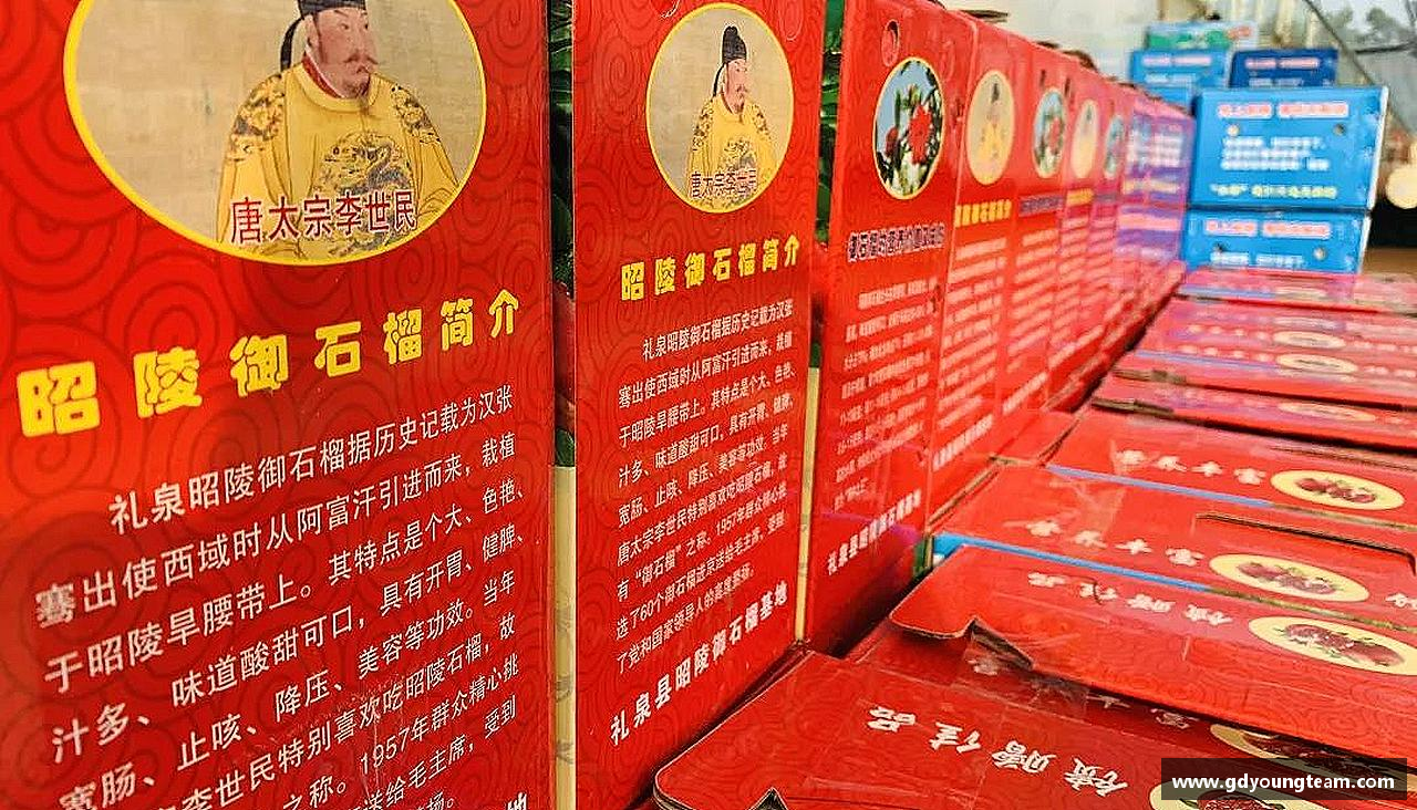 团结拼搏，共创辉煌